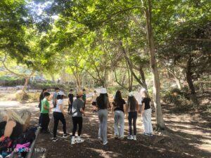 1b68137d-3e85-479d-857b-2f3b85bf4603