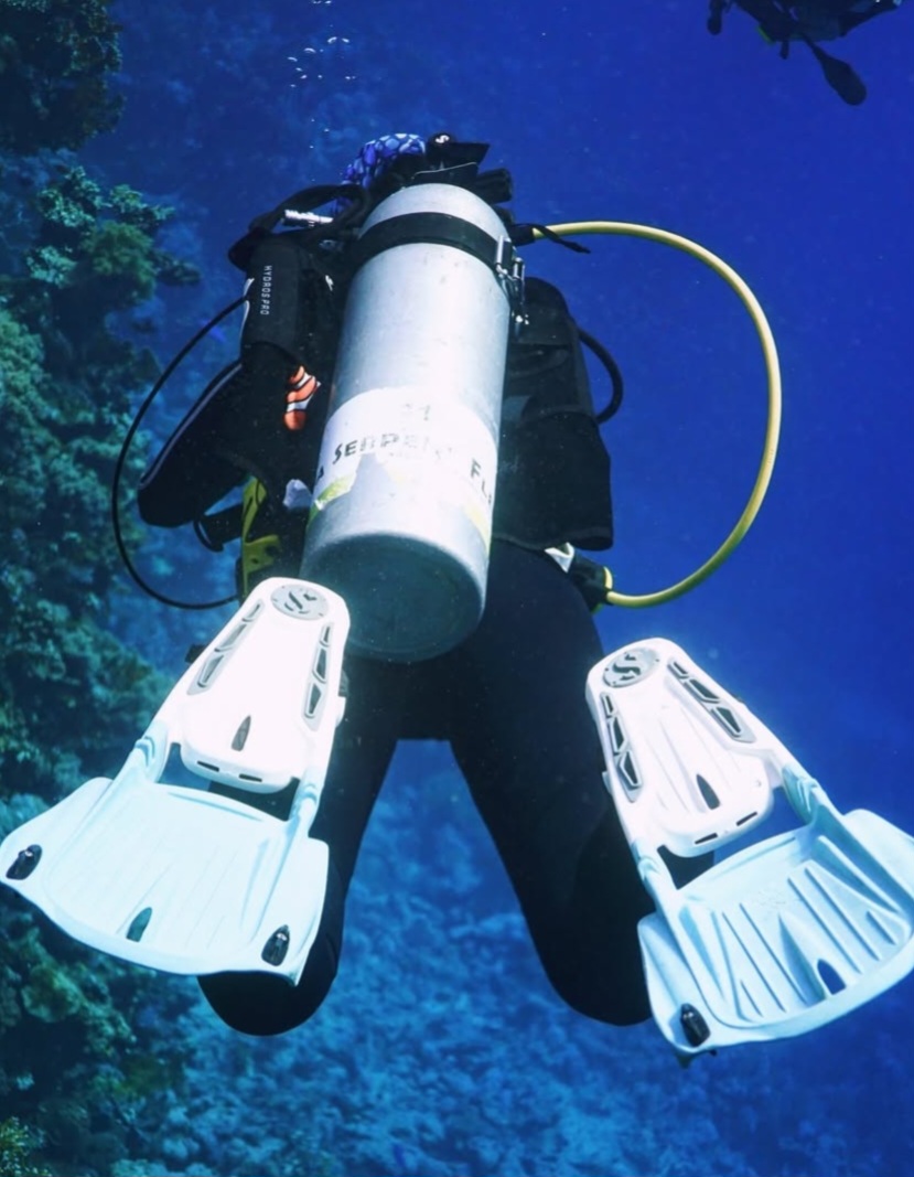 26947b42-77e1-41ff-8aee-82806173a570