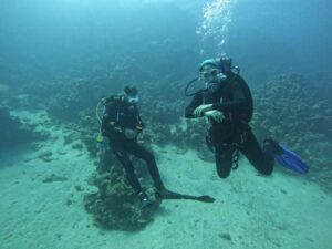 2bb7aeff-30f0-46c9-a2be-c24ad127e553 (1)