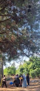 3c123536-37a9-4f5d-93b8-94c00e6849f0