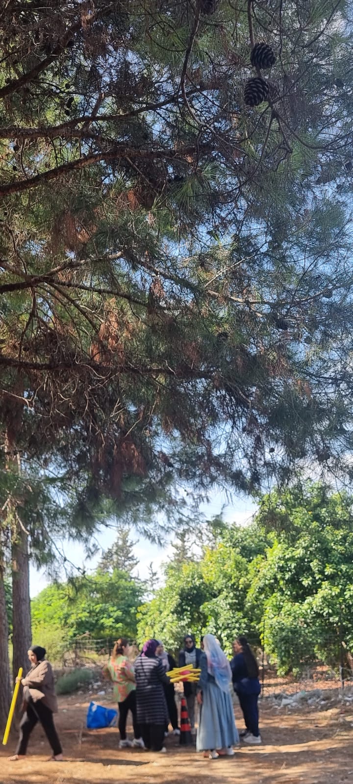 3c123536-37a9-4f5d-93b8-94c00e6849f0