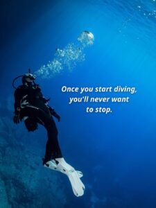 57f44866-bd7f-42f8-a3ff-c3d4ee184d32