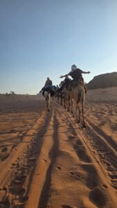 59414b43-d33b-4aad-b25f-4842d959cfdd