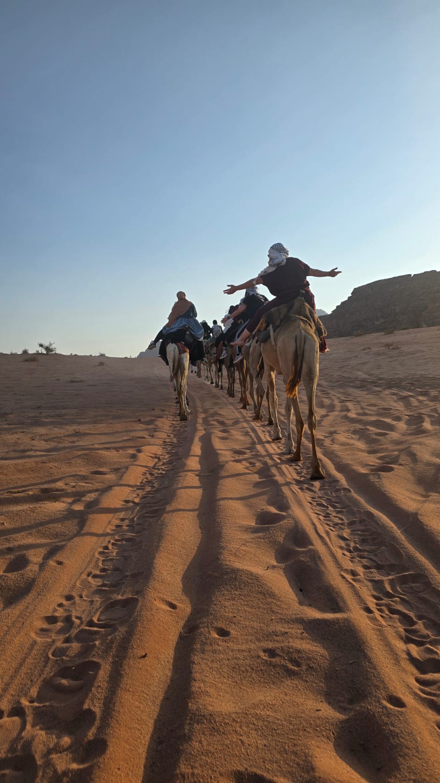 59414b43-d33b-4aad-b25f-4842d959cfdd