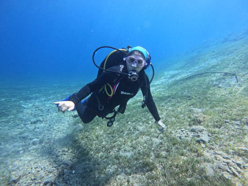 adaee5d9-9f4c-482f-ab99-02aa047e3934