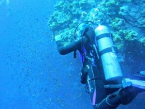 d0abbbd7-50b1-4bb6-8891-67b6c74a47a9