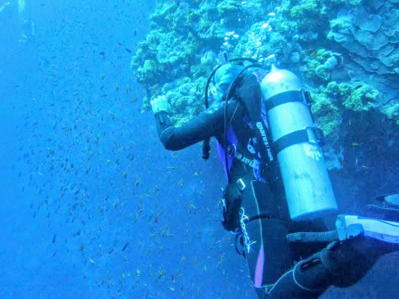 d0abbbd7-50b1-4bb6-8891-67b6c74a47a9