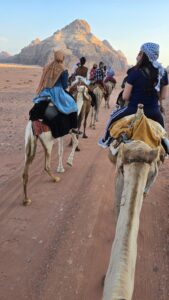 f4dc3fbb-ccb4-49e3-9933-16af29702e6f